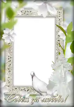 फ़ोटो फ़्रेम पर लेख: हमारी शादी