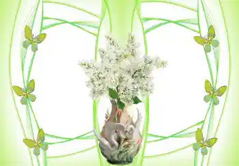 श्रेणी से फ़ोटो प्रभाव शादी के फोटो फ्रेम № 157103