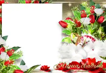 फ़ोटो फ़्रेम पर लेख: हमारी शादी