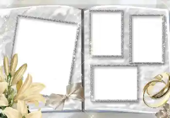 श्रेणी से फ़ोटो प्रभाव शादी के फोटो फ्रेम № 157150