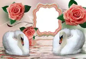 श्रेणी से फ़ोटो प्रभाव शादी के फोटो फ्रेम № 160854 श्रेणी से फ़ोटो प्रभाव शादी के फोटो फ्रेम № 160854