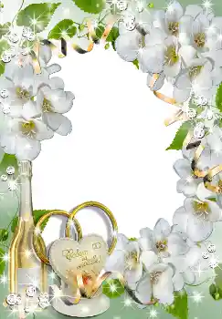 श्रेणी से फ़ोटो प्रभाव शादी के फोटो फ्रेम № 1633 श्रेणी से फ़ोटो प्रभाव शादी के फोटो फ्रेम № 1633