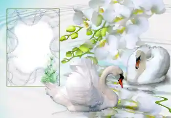 श्रेणी से फ़ोटो प्रभाव शादी के फोटो फ्रेम № 166673