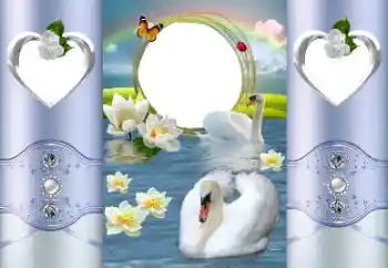 श्रेणी से फ़ोटो प्रभाव शादी के फोटो फ्रेम № 167887