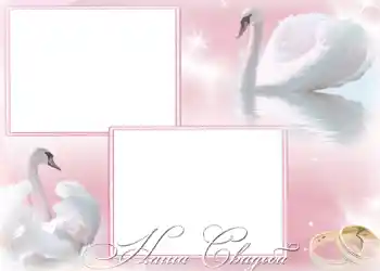 फ़ोटो फ़्रेम पर लेख: हमारी शादी