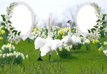 श्रेणी से फ़ोटो प्रभाव शादी के फोटो फ्रेम № 169050