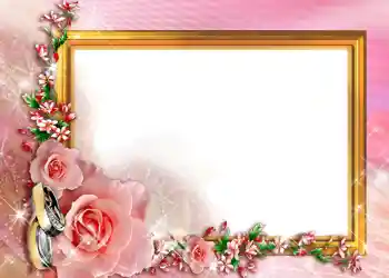 श्रेणी से फ़ोटो प्रभाव शादी के फोटो फ्रेम № 171