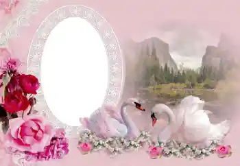 श्रेणी से फ़ोटो प्रभाव शादी के फोटो फ्रेम № 175415