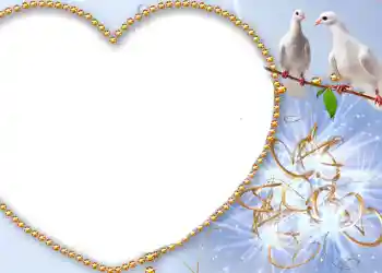 श्रेणी से फ़ोटो प्रभाव शादी के फोटो फ्रेम № 175