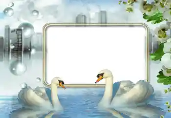 श्रेणी से फ़ोटो प्रभाव शादी के फोटो फ्रेम № 176840