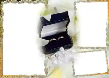 श्रेणी से फ़ोटो प्रभाव शादी के फोटो फ्रेम № 182