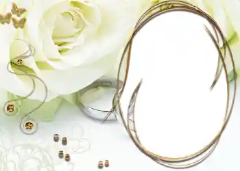 श्रेणी से फ़ोटो प्रभाव शादी के फोटो फ्रेम № 183