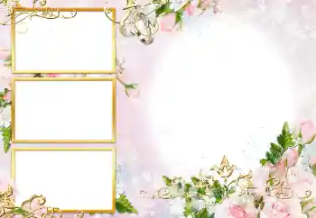 श्रेणी से फ़ोटो प्रभाव शादी के फोटो फ्रेम № 190471