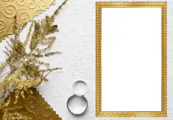 श्रेणी से फ़ोटो प्रभाव शादी के फोटो फ्रेम № 205549