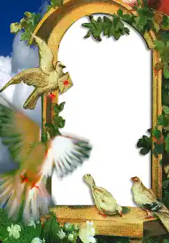 श्रेणी से फ़ोटो प्रभाव शादी के फोटो फ्रेम № 2648 श्रेणी से फ़ोटो प्रभाव शादी के फोटो फ्रेम № 2648