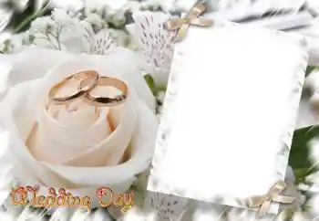 फ़ोटो फ़्रेम पर लेख: Wedding Day