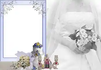 श्रेणी से फ़ोटो प्रभाव शादी के फोटो फ्रेम № 31734