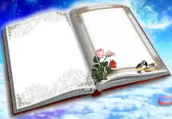 श्रेणी से फ़ोटो प्रभाव शादी के फोटो फ्रेम № 31735