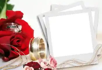 श्रेणी से फ़ोटो प्रभाव शादी के फोटो फ्रेम № 31736