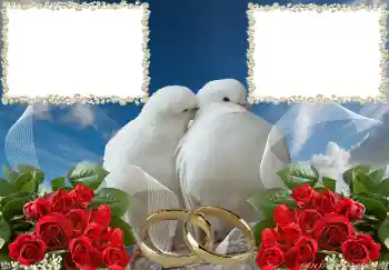 श्रेणी से फ़ोटो प्रभाव शादी के फोटो फ्रेम № 3951 श्रेणी से फ़ोटो प्रभाव शादी के फोटो फ्रेम № 3951