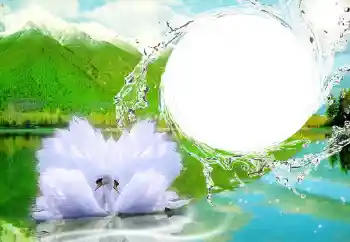 श्रेणी से फ़ोटो प्रभाव शादी के फोटो फ्रेम № 47252