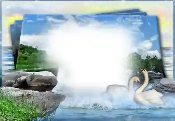 श्रेणी से फ़ोटो प्रभाव शादी के फोटो फ्रेम № 49460