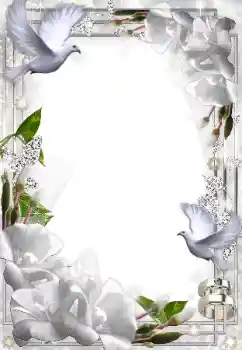 श्रेणी से फ़ोटो प्रभाव शादी के फोटो फ्रेम № 49574