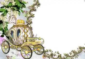 श्रेणी से फ़ोटो प्रभाव शादी के फोटो फ्रेम № 50820