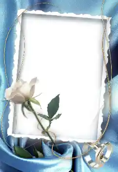 श्रेणी से फ़ोटो प्रभाव शादी के फोटो फ्रेम № 52010