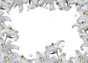 श्रेणी से फ़ोटो प्रभाव शादी के फोटो फ्रेम № 54 श्रेणी से फ़ोटो प्रभाव शादी के फोटो फ्रेम № 54