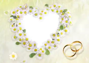 श्रेणी से फ़ोटो प्रभाव शादी के फोटो फ्रेम № 56 श्रेणी से फ़ोटो प्रभाव शादी के फोटो फ्रेम № 56