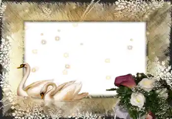 श्रेणी से फ़ोटो प्रभाव शादी के फोटो फ्रेम № 58998