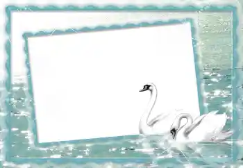 श्रेणी से फ़ोटो प्रभाव शादी के फोटो फ्रेम № 70895