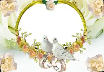 श्रेणी से फ़ोटो प्रभाव शादी के फोटो फ्रेम № 8723 श्रेणी से फ़ोटो प्रभाव शादी के फोटो फ्रेम № 8723