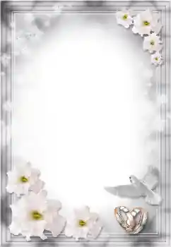 श्रेणी से फ़ोटो प्रभाव शादी के फोटो फ्रेम № 8724 श्रेणी से फ़ोटो प्रभाव शादी के फोटो फ्रेम № 8724