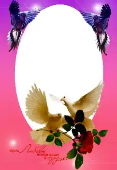 फ़ोटो फ़्रेम पर लेख: हमारी शादी फ़ोटो फ़्रेम पर लेख: हमारी शादी