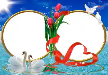 श्रेणी से फ़ोटो प्रभाव शादी के फोटो फ्रेम № 9726 श्रेणी से फ़ोटो प्रभाव शादी के फोटो फ्रेम № 9726