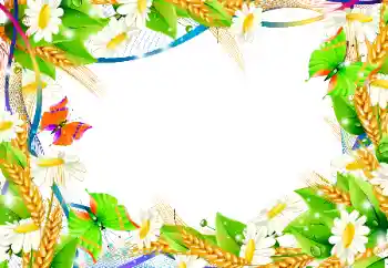 श्रेणी से फ़ोटो प्रभाव महिलाओं के फोटो फ्रेम № 101135