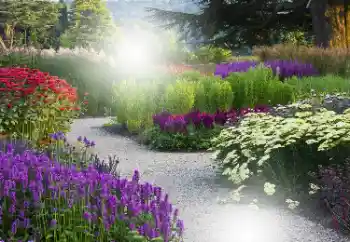 श्रेणी से फ़ोटो प्रभाव महिलाओं के फोटो फ्रेम № 101176