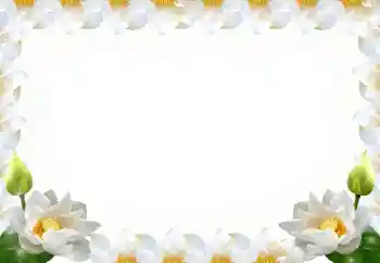 श्रेणी से फ़ोटो प्रभाव महिलाओं के फोटो फ्रेम № 102569