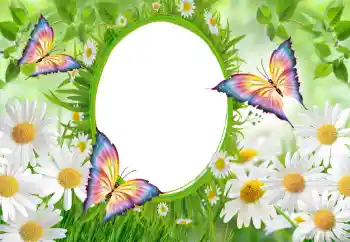 श्रेणी से फ़ोटो प्रभाव महिलाओं के फोटो फ्रेम № 102747