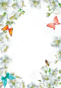 श्रेणी से फ़ोटो प्रभाव महिलाओं के फोटो फ्रेम № 103777