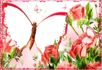 श्रेणी से फ़ोटो प्रभाव महिलाओं के फोटो फ्रेम № 103883