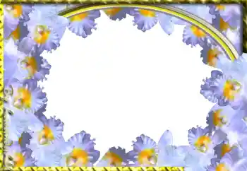 श्रेणी से फ़ोटो प्रभाव महिलाओं के फोटो फ्रेम № 103943