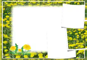 श्रेणी से फ़ोटो प्रभाव महिलाओं के फोटो फ्रेम № 103949