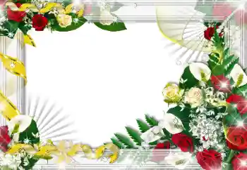 श्रेणी से फ़ोटो प्रभाव महिलाओं के फोटो फ्रेम № 103992