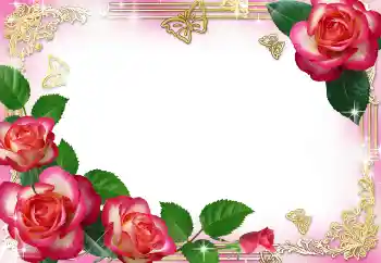 श्रेणी से फ़ोटो प्रभाव महिलाओं के फोटो फ्रेम № 104029