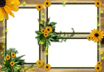 श्रेणी से फ़ोटो प्रभाव महिलाओं के फोटो फ्रेम № 104030