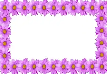 श्रेणी से फ़ोटो प्रभाव महिलाओं के फोटो फ्रेम № 105414