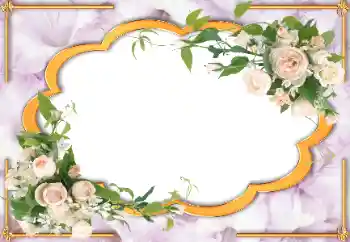 श्रेणी से फ़ोटो प्रभाव महिलाओं के फोटो फ्रेम № 105472